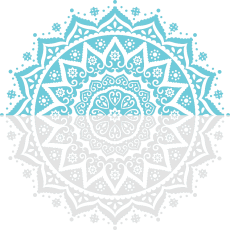 2025 0301 mandala Contact 3.1